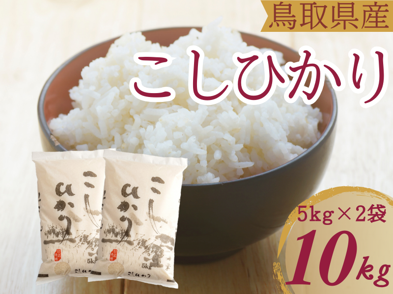 米 こしひかり5kg×2 計10キロ 鳥取県産 こめ 精米 コシヒカリ 令和6年産 送料無料 1053