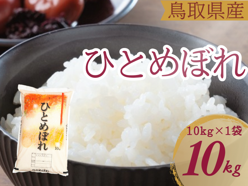 米 ひとめぼれ 10kg 鳥取県産 こめ 精米 10キロ 令和6年産 送料無料 1054