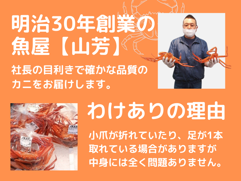 ミ(訳あり)ミ 紅ズワイガニ3kg(5〜10枚) 冷蔵発送 カニ かに 訳アリ 境港 山芳海産 0528