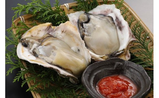 【のし付き】いわがきドリアセット ブランド岩牡蠣使用 旨味の詰まったとろとろ絶品ソース