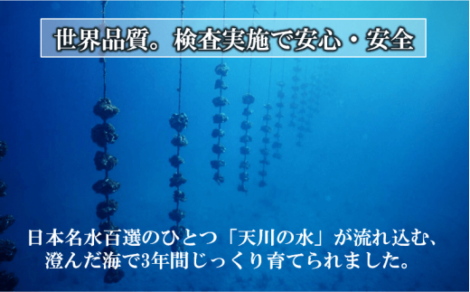 【のし付き】海士のいわがき 新鮮クリーミーな高級岩牡蠣 殻付きLサイズ×16個