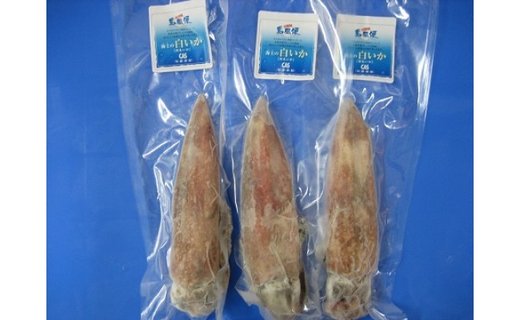 【ふるさと納税】島獲れ白いか ブランドイカ350g 大サイズ2杯セット