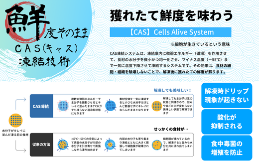 【海士のいわがき】新鮮クリーミーな高級岩牡蠣 殻付きLサイズ×５個