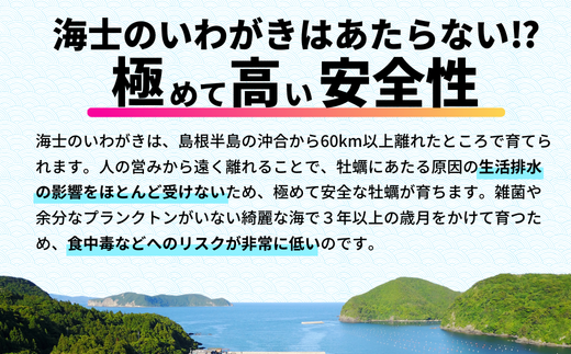 【殻剥き不要】海士のいわがき 殻なし巨大3Lサイズ×5個（1.6kg〜2kg）