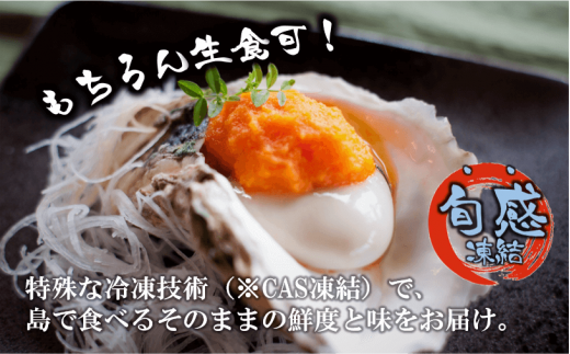 【のし付き】ブランドいわがき春香 新鮮クリーミーな高級岩牡蠣 殻なしSサイズ×７個
