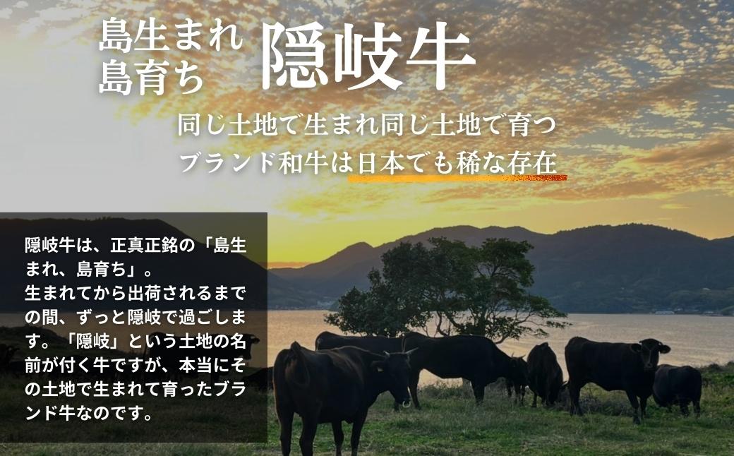  【幻の隠岐牛】島育ちの本物のブランド黒毛和牛サーロイン・上赤身ステーキセット400g