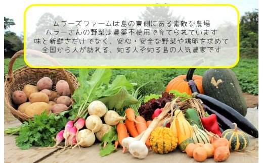 季節の野菜詰め合わせ（5〜6種）！農薬不使用だから安心安全！
