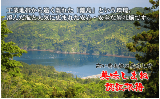 【のし付き】海士のいわがき 新鮮クリーミーな高級岩牡蠣 殻付きLサイズ×16個