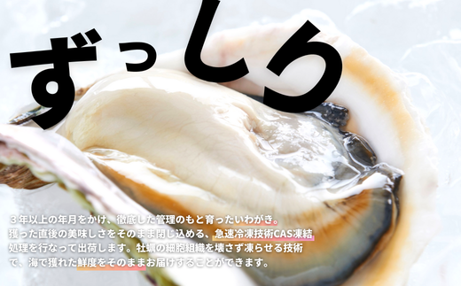 【海士のいわがき】新鮮クリーミーな高級岩牡蠣 殻付きLサイズ×１６個