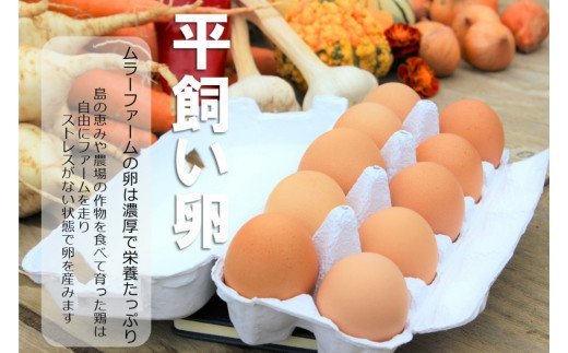 平飼い卵の卵かけご飯セット（平飼い卵10個・海士の本氣米1kg）