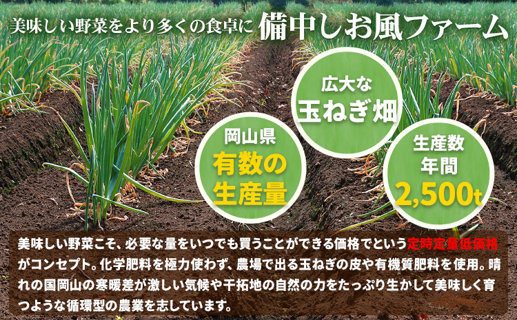 【2025年先行予約分】しお風たまねぎ 約10kg《2025年6月上旬-6月末頃出荷(土日祝除く)》 玉ねぎ たまねぎ 野菜 青果物 岡山県 笠岡市