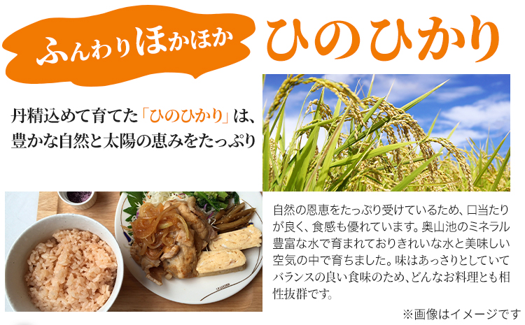 【令和6年産 予約受付】玄米 岡山県産 ひのひかり 笠岡産 90kg(15kg×6回)《10月下旬-9月下旬頃出荷》農事組合法人奥山営農組合 太陽の恵み