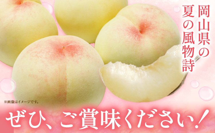 ご家庭用 おかやまの桃 約1.8kg(7〜9玉) 令和7年産 先行予約  《2025年7月上旬-8月下旬頃出荷》 桃 晴れの国おかやま館 フルーツ 果物 果実 岡山県 笠岡市