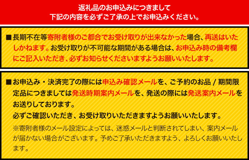 SIRUHA　リュック Lサイズ テラコッタ 《45日以内に出荷予定(土日祝除く)》