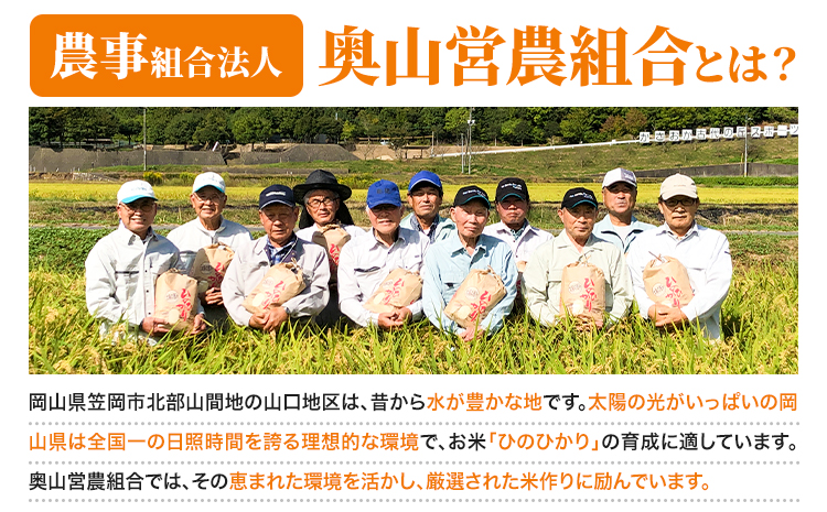 【令和6年産 予約受付】無洗米 岡山県産 ひのひかり 笠岡産 120kg(20kg×6回)《10月下旬-9月下旬頃出荷》農事組合法人奥山営農組合 太陽の恵み