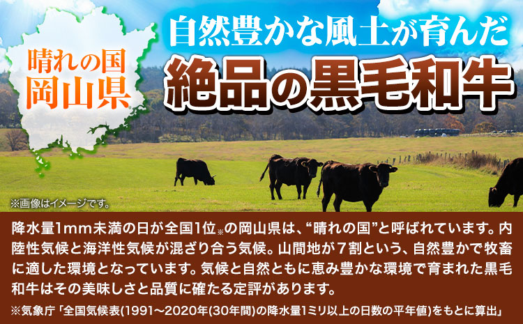 牛肉 肉 黒毛和牛 切り落とし 訳あり 大容量 小分け【定期便】 1kg 1パック 250g 3回 《お申込月の翌月より発送》岡山県産 岡山県 笠岡市 お肉 にく カレー 牛丼 切り落し 切落し