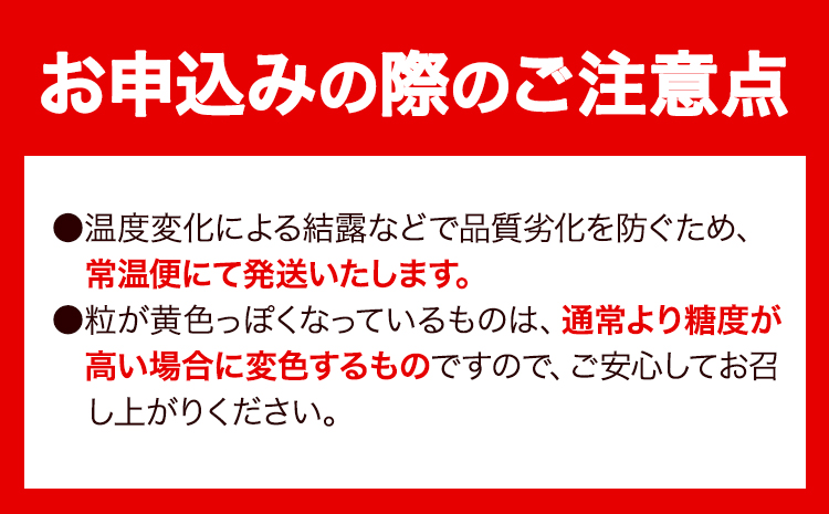 【令和7年度産先行予約】 【3回定期便】マスカット シャインマスカット 1房(約650g)《2025年8月下旬-10月下旬頃出荷》たたらみねらる ギフト 糖度18度以上 フルーツ 種無し ぶどう 葡 Y&G．ディストリビューター 岡山県 笠岡市 定期便