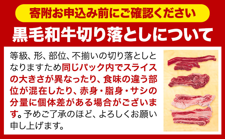 牛肉 肉 黒毛和牛 切り落とし 訳あり 大容量 小分け【定期便】 1kg 1パック 250g 6回 《お申込月の翌月より発送》岡山県産 岡山県 笠岡市 お肉 にく カレー 牛丼 切り落し 切落し