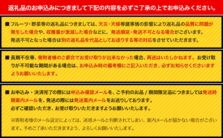 ZEPPIN EX(エクセレント) 1kg箱 平均糖度12度 《120日以内に出荷予定(土日祝除く)》甘い フルーツトマト