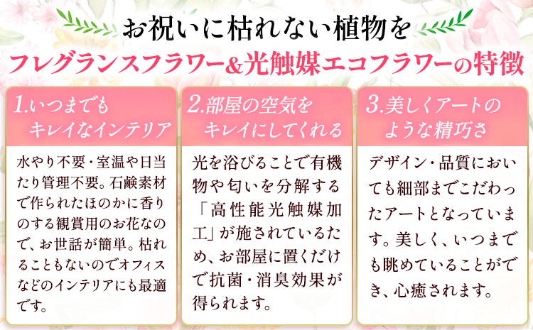 フレグランスフラワー＆光触媒エコフラワー 番犬くん Lサイズ フローリスト萬 《45日以内に出荷予定(土日祝除く)》岡山県 笠岡市 送料無料 母の日 プレゼント アレンジフラワー 枯れない