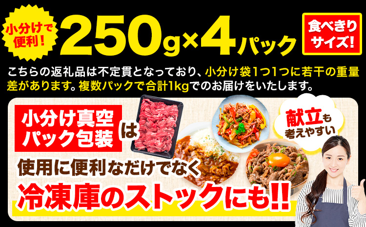 牛肉 肉 黒毛和牛 切り落とし 訳あり 大容量 小分け【定期便】 1kg 1パック 250g 12回 《お申込月の翌月より発送》岡山県産 岡山県 笠岡市 お肉 にく カレー 牛丼 切り落し 切落し