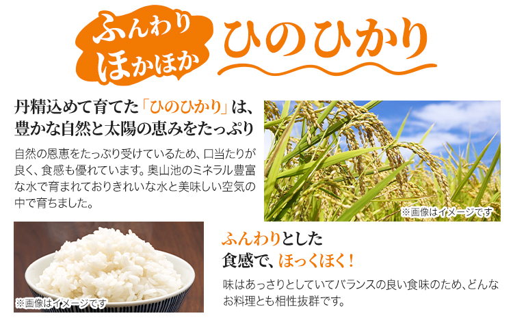 【令和6年産 予約受付】白米 岡山県産 ひのひかり 笠岡産 60kg(10kg×6回)《10月下旬-9月下旬頃出荷》農事組合法人奥山営農組合 太陽の恵み