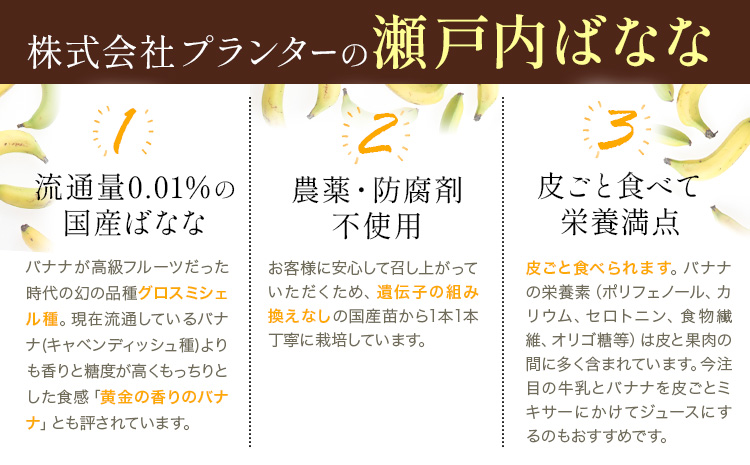 MUSA 体おもいのデザート スプレッド 2個 (麴カカオ＋麴まっちゃ)  株式会社プランター 《30日以内に出荷予定(土日祝除く)》 麴 抹茶 カカオ バナナ お菓子 パン