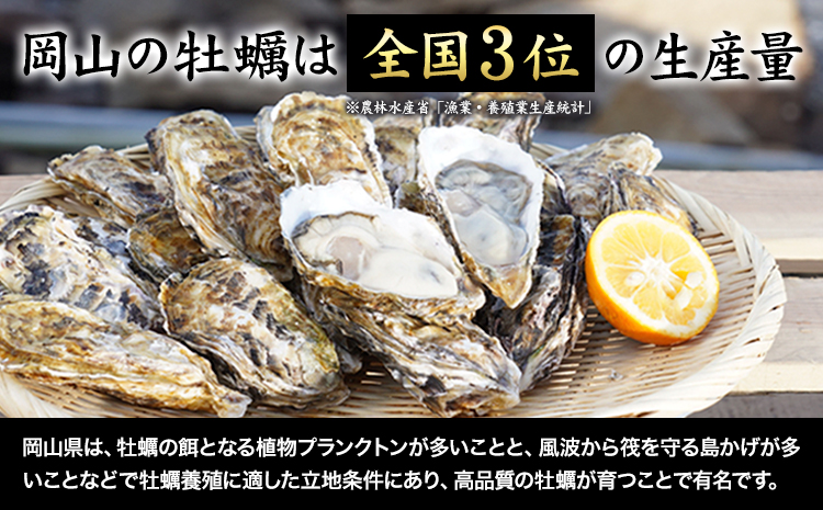 笠岡産 (瀬戸内海産) 殻付き牡蠣 (加熱用) S・Mサイズ混合 2kg 30粒前後《出荷時期が選べる》1月 2月 3月 4月 岡山県 笠岡市 かき カキ 牡蠣 生牡蠣 瀬戸内海産 殻付き