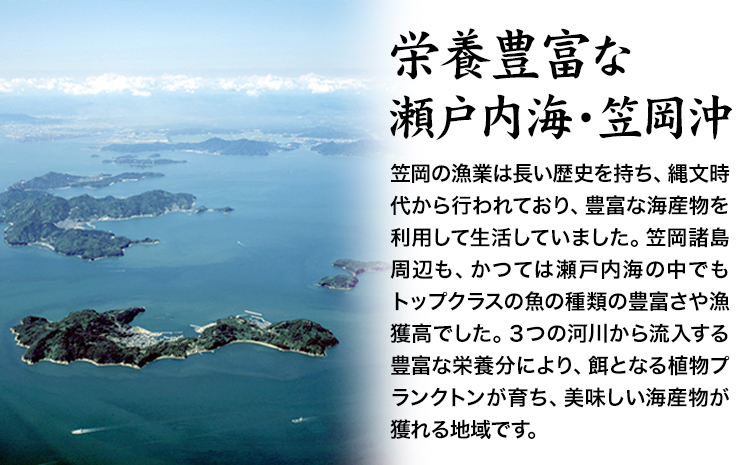 笠岡産 (瀬戸内海産) 殻付き牡蠣 (加熱用) S・Mサイズ混合 2kg 30粒前後《出荷時期が選べる》1月 2月 3月 4月 岡山県 笠岡市 かき カキ 牡蠣 生牡蠣 瀬戸内海産 殻付き