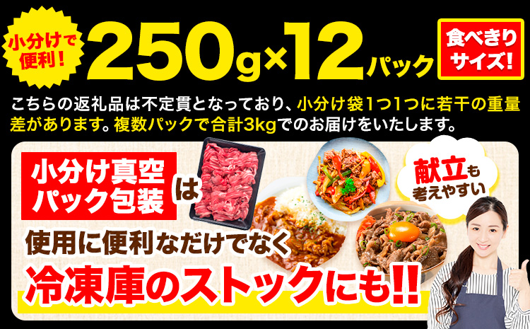 牛肉 肉 黒毛和牛 切り落とし 訳あり 大容量 小分け【定期便】 3kg 1パック 250g 12回 《お申込月の翌月より発送》岡山県産 岡山県 笠岡市 お肉 にく カレー 牛丼 切り落し 切落し