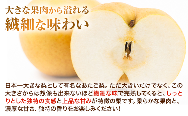 岡山県産 あたご梨　大玉2個入り（1玉　950g以上) 令和7年産先行受付《11月下旬-12月中旬頃出荷》