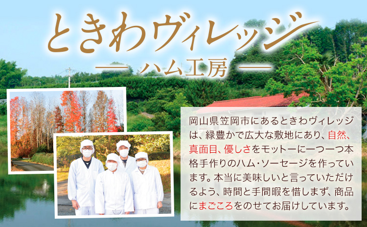 ハンバーグ 冷凍 惣菜 手ごね 煮込み ハンバーグ 4個セット ( デミグラス 和風 各2個 ) 社会福祉法人敬業会ヴィレッジ興産 ときわヴィレッジ《30日以内に出荷予定(土日祝除く)》岡山県 笠岡市 送料無料 惣菜 レトルト 冷凍 簡単