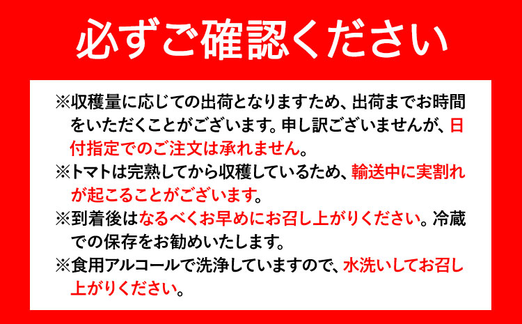 ZEPPIN EX(エクセレント) 1kg箱 平均糖度12度 《120日以内に出荷予定(土日祝除く)》甘い フルーツトマト