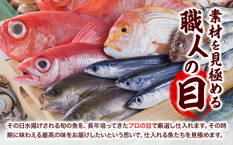 干物 ひもの 海鮮 熟成干物セット 5~7種 セット 笠岡魚市場《45日以内に出荷予定(土日祝除く)》岡山県 笠岡市 旬 魚 お魚