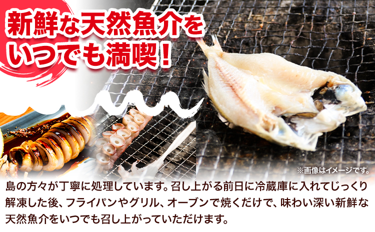 A-135 魚々干 今日の漁りセット Aセット 灰干し 鯛 イカ タコ 特定非営利活動法人 かさおか島づくり海社《45日以内に出荷予定(土日祝除く)》岡山県 笠岡市 魚 さかな 干し おまかせ 詰め合わせ 天然魚介 魚介