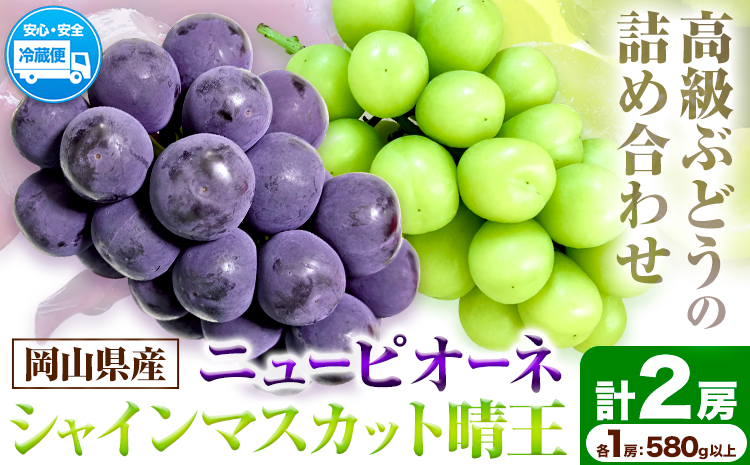 岡山県産ニューピオーネ（１房580g以上）＆シャインマスカット「晴王」（1房580g以上）（令和7年産先行受付）《9月上旬-10月中旬頃出荷》【配送不可地域あり】