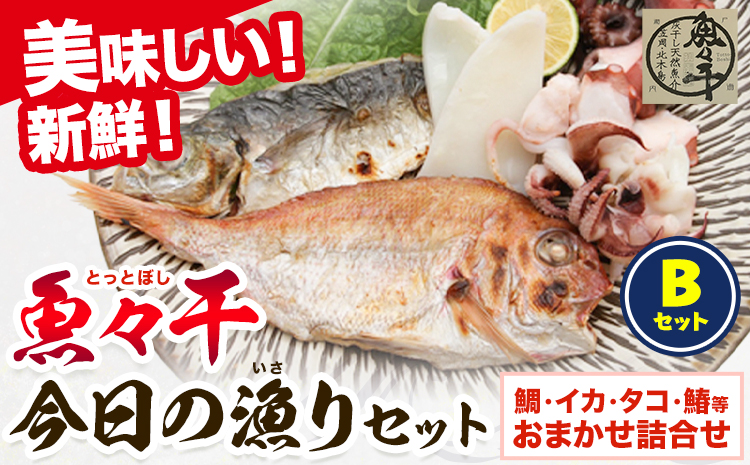 A-136 魚々干 今日の漁りセット Bセット 灰干し 鯛 イカ タコ 鰆 特定非営利活動法人 かさおか島づくり海社《45日以内に出荷予定(土日祝除く)》岡山県 笠岡市 魚 さかな 干し おまかせ 詰め合わせ 天然魚介 魚介