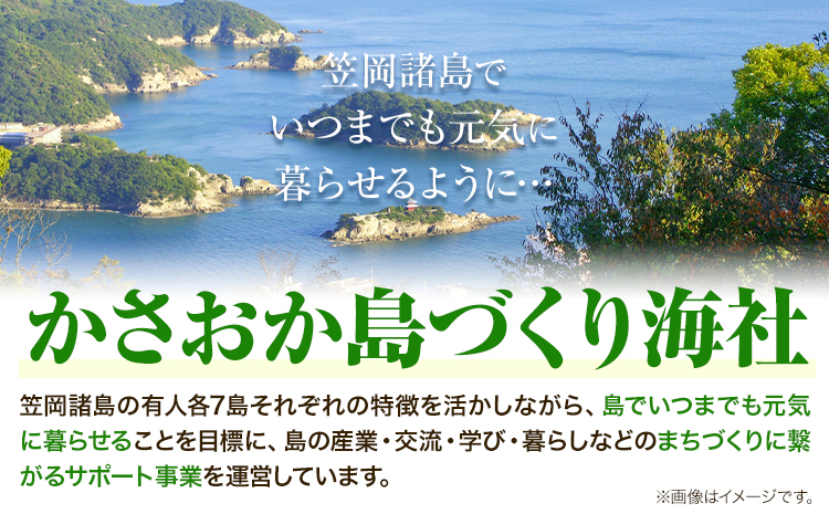 A-130 笠岡諸島からの贈り物「瀬戸の島のり（ピリ辛）」&季節の商品　Bセット