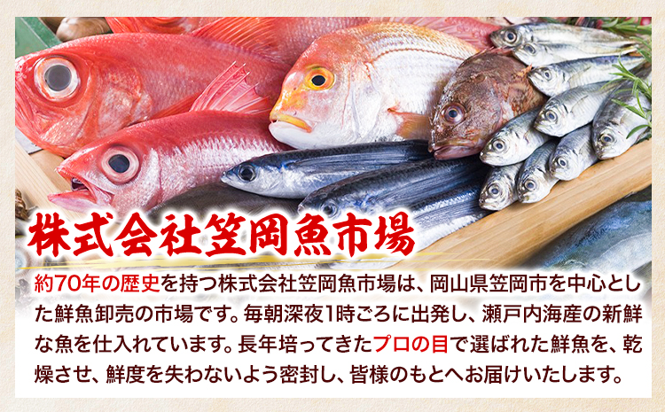 焼き穴子 約500g 笠岡魚市場《45日以内に出荷予定(土日祝除く)》岡山県 笠岡市 穴子 海鮮 魚 お魚