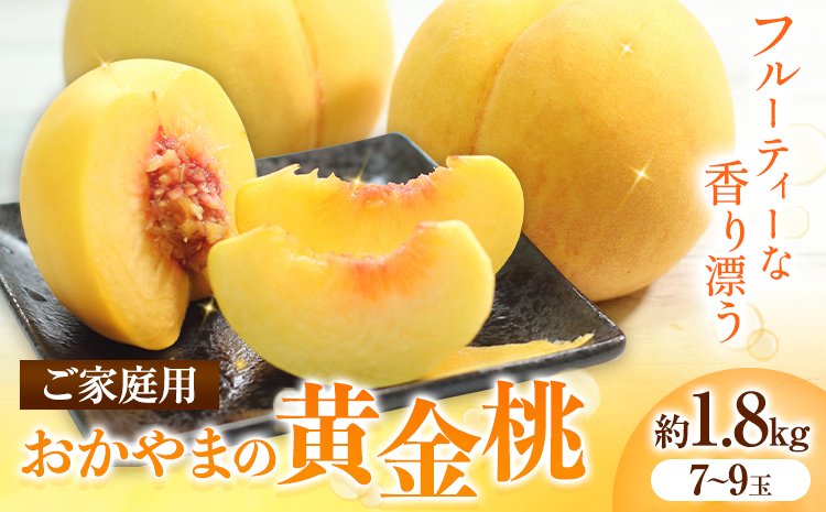 ご家庭用 おかやまの黄金桃 約1.8kg 令和7年産 先行予約 《2025年8月下旬-9月中旬頃出荷》 桃 黄桃 黄金桃 晴れの国おかやま館 フルーツ 果物 果実 岡山県 笠岡市