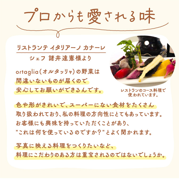 A-229 季節の旬野菜 10品 おまかせセット（農薬・化学肥料不使用）