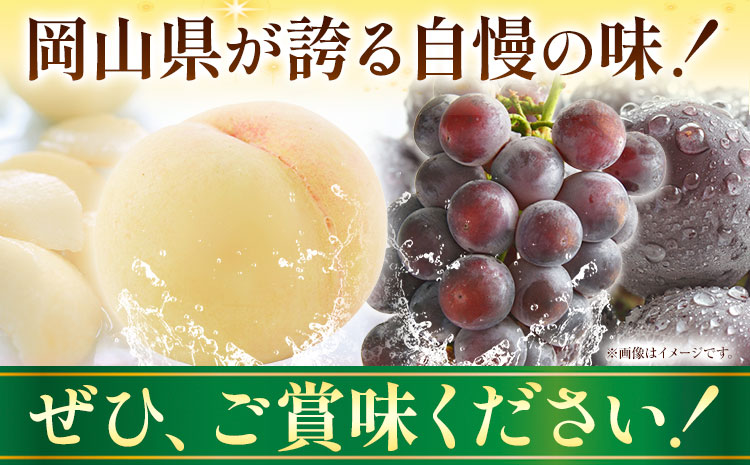 岡山産白桃とピオーネの詰合わせ もも 桃 白桃 葡萄 ブドウ ぶどう ピオーネ フルーツ セット 令和7年産先行予約 《2025年7月上旬-8月上旬頃出荷》  晴れの国おかやま館 フルーツ 果物 果実 岡山県 笠岡市