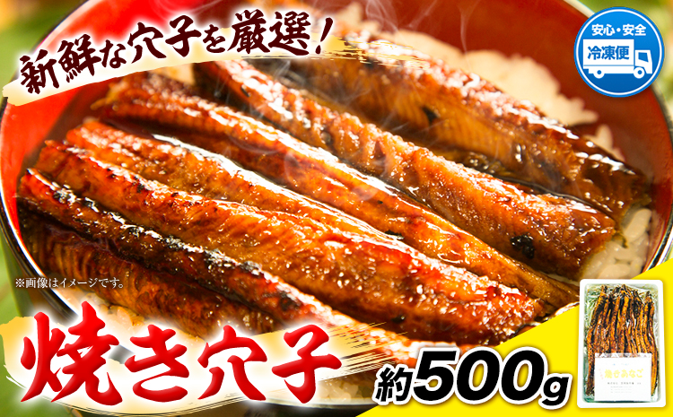 焼き穴子 約500g 笠岡魚市場《45日以内に出荷予定(土日祝除く)》岡山県 笠岡市 穴子 海鮮 魚 お魚