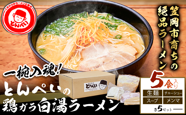 とんぺいの生ラーメン 5食入り スープ・チャーシュー・メンマ付 とんぺい《30営業日以内に出荷予定(土日祝除く)》岡山県 笠岡市 ラーメン 生ラーメン 生麺 スープ チャーシュー メンマ 鶏ガラ白湯スープ 鶏ガラスープ