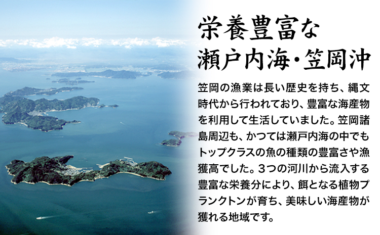 笠岡産 (瀬戸内海産) 殻付き牡蠣 (加熱用) S・Mサイズ混合 1kg 15粒前後《出荷時期が選べる》1月 2月 3月 4月 岡山県 笠岡市 かき カキ 牡蠣 生牡蠣 瀬戸内海産 殻付き