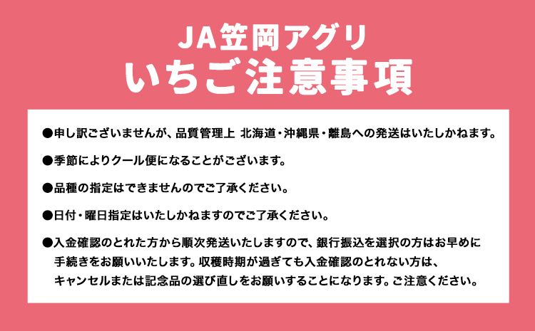 先行予約 いちご 紅ほっぺ 1000g(250g×4パック) JA笠岡アグリ《2025年1月中旬-3月末頃出荷》岡山県 笠岡市 送料無料 苺 フルーツ 果物 お取り寄せ【配達不可地域あり】