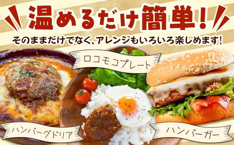 ハンバーグ 冷凍 惣菜 手ごね 煮込み ハンバーグ 4個セット ( デミグラス 和風 各2個 ) 社会福祉法人敬業会ヴィレッジ興産 ときわヴィレッジ《30日以内に出荷予定(土日祝除く)》岡山県 笠岡市 送料無料 惣菜 レトルト 冷凍 簡単