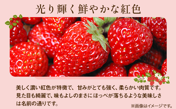 先行予約 いちご 紅ほっぺ 1000g(250g×4パック) JA笠岡アグリ《2025年1月中旬-3月末頃出荷》岡山県 笠岡市 送料無料 苺 フルーツ 果物 お取り寄せ【配達不可地域あり】