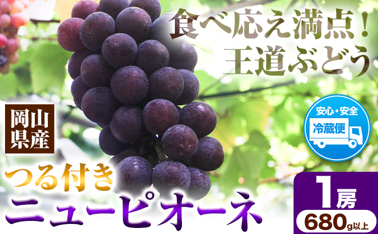 岡山県産ニューピオーネ（1房680g以上）1房入り 令和7年産先行受付《9月上旬-10月中旬頃出荷》【配送不可地域あり】