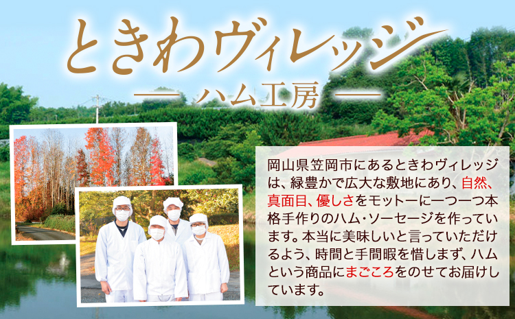 K-07 手作り ソーセージ 特別セット 大容量 社会福祉法人敬業会ヴィレッジ興産 ときわヴィレッジ《45日以内に出荷予定(土日祝除く)》岡山県 笠岡市 粗挽ソーセージ ボンレスハム 肉 豚肉 ギフト